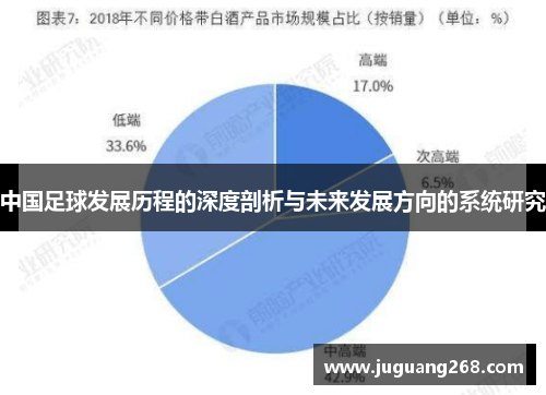 中国足球发展历程的深度剖析与未来发展方向的系统研究