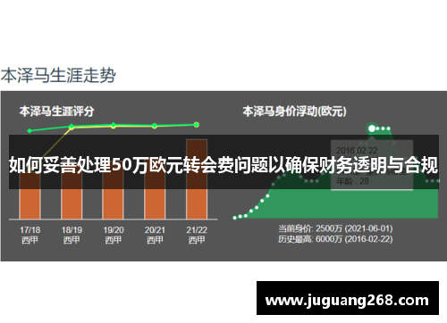 如何妥善处理50万欧元转会费问题以确保财务透明与合规